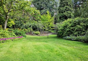 Optimiser l'expérience du jardin à Lugarde